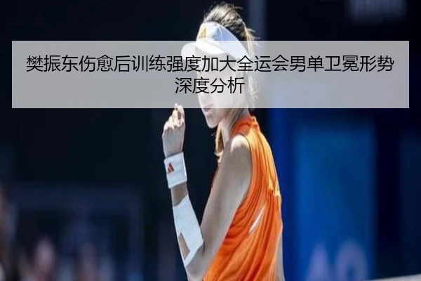 樊振东伤愈后训练强度加大全运会男单卫冕形势深度分析